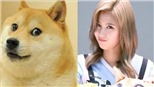 Sana Twice với biểu cảm siêu đáng yêu khi fan làm điều này