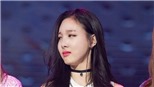 Thông điệp 'cầu xin' của Twice là do kẻ theo lén Nayeon đi chung máy bay