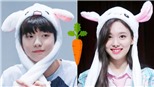 Loạt sao K-pop gắn liền với hình ảnh thỏ dễ thương