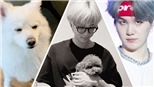 Lý do bức ảnh mừng sinh nhật RM BTS gây xôn xao