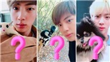 Loài vật mà Jin BTS muốn nuôi khiến ARMY bất ngờ