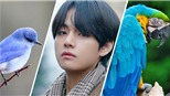 7 điều fan chưa biết về các bài hát solo của V BTS