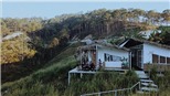 3 homestay ‘sống chậm’ lí tưởng, view siêu đẹp được lựa chọn nhiều nhất ở Đà Lạt
