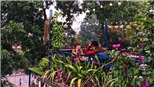 Uống cafe giữa 'vườn địa đàng' đẹp từng milimet giữa trung tâm Hà Nội