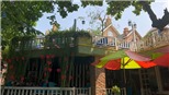 City House: Thiên đường sống 'chậm' đầy sắc màu giữa Sài Gòn ồn ã