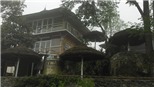 Đi Y Tý săn mây, săn lúa chín nên ở homestay nào?