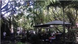 Cafe Thủy Trúc, xanh mướt một ‘miền quê’ giữa lòng phố thị