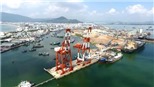 Thanh tra Chính phủ kết luận về việc cổ phần hóa Cảng Quy Nhơn