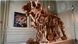 Cơ hội chiêm ngưỡng tác phẩm 'tay ngang' của đại danh họa Da Vinci