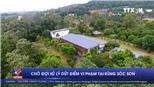 VIDEO: Chờ đợi xử lý dứt điểm vi phạm tại rừng Sóc Sơn