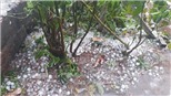 Thiên tai sẽ diễn ra khó lường, phức tạp trong thời gian tới