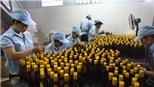 Không để ảnh hưởng tiêu cực đến sản xuất nước mắm truyền thống