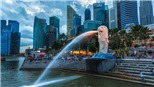 Singapore bắt giữ 3 nữ giúp việc gia đình nghi tài trợ cho khủng bố