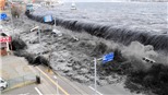Nhật Bản: Tòa giữ nguyên phán quyết về bồi thường gia đình nạn nhân động đất - sóng thần