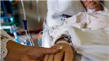 Số người dân Hà Lan muốn cái chết nhân đạo gia tăng