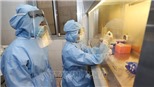 Chính phủ Mỹ tiết lộ chi tiết nghiên cứu tia cực tím tiêu diệt virus SARS-CoV-2