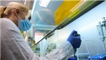 Dịch COVID-19: Trung Quốc thử nghiệm vaccine chống virus SARS-CoV-2 trên loài khỉ