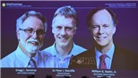 Giải Nobel Y học 2019 vinh danh nghiên cứu mở đường cho điều trị bệnh thiếu máu và ung thư