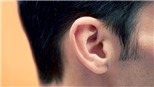 Cấp cứu một thanh niên bị cắn đứt tai khi đang nhậu với bạn 