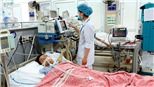 Ngộ độc thuốc diệt cỏ gia tăng đột biến dịp Tết