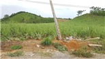 Viettel thông tin về việc 4 người bị điện giật tử vong ở Nghệ An 