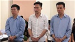 Phạt tù nguyên cán bộ hải quan 'rút ruột' ngà voi, sừng tê giác từ kho tang vật 