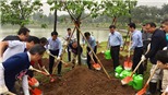 Trồng thêm 1.000 cây hoa anh đào tại Công viên Hòa Bình, Hà Nội