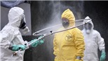 Dịch COVID-19: Hệ thống bệnh viện tại bang Rio de Janeiro có thể 'sụp đổ'