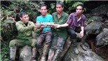 Chưa có căn cứ xác định các mẫu vật tìm thấy tại núi Tam Đảo là hài cốt phi công