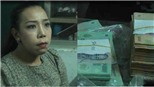 Nữ phóng viên lừa đảo chiếm hàng trăm triệu đồng bị đề nghị truy tố