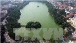 'Chưa có thông tin chính xác về đàn vịt trời ở hồ Gươm'