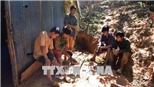 Vụ khai thác vàng trái phép tại huyện Ngọc Hồi: Xử phạt 8 đối tượng hơn 500 triệu đồng 