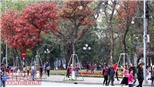 Đêm nay miền Bắc có mưa vài nơi, Nam Bộ mưa dông lớn