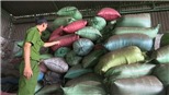 Chưa phát hiện hồ tiêu trộn cà phê nhuộm pin tuồn ra thị trường