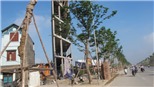 Hà Nội quyết thu hồi nhà, đất 'siêu mỏng, siêu méo' gây phản cảm