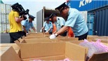 Hải Phòng thu giữ container chứa khoảng 2,5 tấn lá Khát