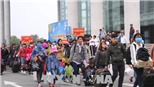 Tết Dương lịch 2019 và Âm lịch Kỷ Hợi được nghỉ bao nhiêu ngày?