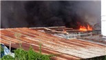Thành phố Hồ Chí Minh: Cháy lớn thiêu rụi hàng trăm m2 nhà xưởng tại Quận 12 