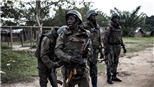 CHDC Congo: Quân đội tiêu diệt 25 phiến quân Hồi giáo ở miền Đông