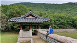Thành phố nhỏ Mungyeong ở Hàn Quốc đón lượng du khách 'khủng' bất chấp dịch Covid-19