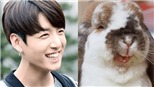 BTS: Jungkook chính là &#39;chú thỏ&#39; được ARMY yêu thích nhất 