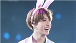 Jungkook BTS còn có một đặc điểm đáng yêu đến bất ngờ mà ARMY không thể chối từ