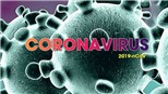Phát hiện mới về thời điểm xuất hiện virus SARS-CoV-2