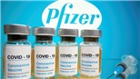 Pfizer dự báo ‘bỏ túi’ hơn 33 tỷ USD với vaccine phòng Covid-19