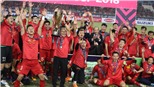 Bóng đá Việt Nam và 5 thách thức trong năm 2019