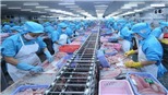 Cần Thơ thưởng Tết cao nhất 230 triệu đồng