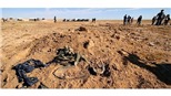 Phát hiện mồ chôn 643 dân thường tại Iraq