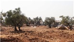 Truyền hình Iraq phát hình ảnh ghi lại cuộc đột kích của Mỹ vào nơi ẩn náu của thủ lĩnh IS