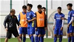 Tuyển Việt Nam hối hả tập luyện chờ ngày xuất trận ASIAN Cup 2019