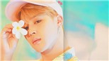 Jimin giành ngai vương, BTS thống trị BXH thương hiệu cá nhân